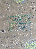 Dominique De Beir, ''Planche dentelle'', 2021 [fluo],

carton, peinture acrylique, encre, 'impacts' [hamerslagen, bioptie e.a. perforaties],

gebaseerd op foto's van kantmodellen die op school voor onderricht worden gebruikt

(uniek werk), 1.60 x 1.20 m. detail.
PHŒBUS•Rotterdam