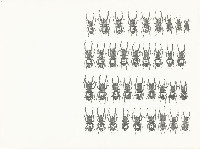 Simon Benson, uit de reeks ''Die Verwandlung'', 1988-2010, tekeningen potlood / papier, A4 / +A4.
PHŒBUS•Rotterdam