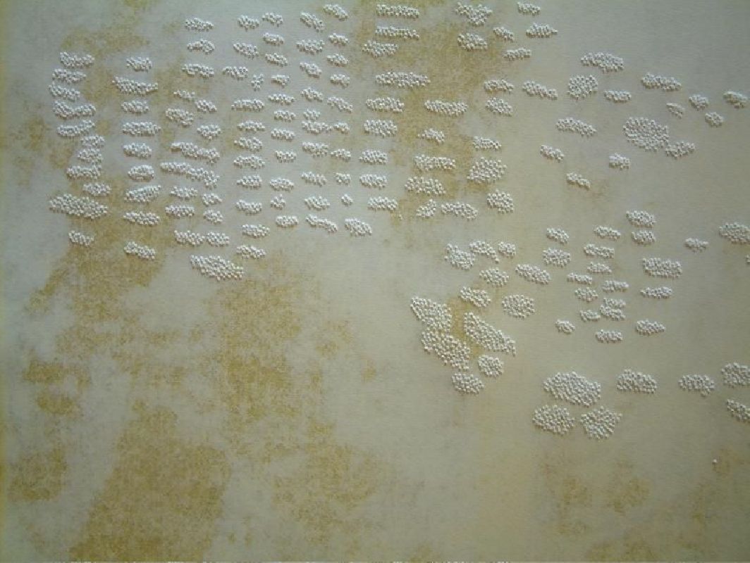 Kostana Banovic, z.t. 2007, olie, geperforeerd papier, 38 x 53 cm. (detail)
PHŒBUS•Rotterdam