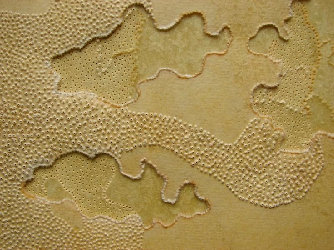 Kostana Banovic, z.t. 2005, olie, geperforeerd dubbelgevouwen papier, zichtbaar

38 x 53 cm. (detail)
PHŒBUS•Rotterdam
