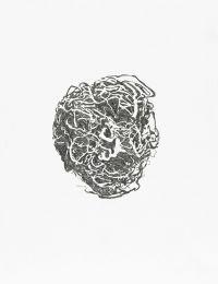 Simon Benson, 'An Image of the World, Rootball', 2010, potlood / papier, 45 x 35 cm.
PHŒBUS•Rotterdam