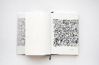 Toon van Borm, uit: 'the fields', 2012, inkt op papier.
PHŒBUS•Rotterdam