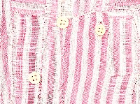 Célio Braga, 2023, ''Perfect Friends, Perfect Lovers''... 38 Dennis 1 ... detail
PHŒBUS•Rotterdam