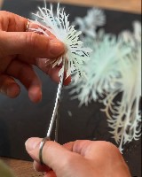 Esther Bruggink, 'Tiny Garden', knippen van polyesterfolie...
PHŒBUS•Rotterdam