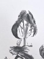 Mark Cloet, 'Il Paradiso (the Right of Dancing)', 2021, potlood, aquarelpotlood, purpura mortuum, detail rechter tekening
PHŒBUS•Rotterdam
