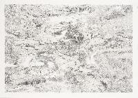 Anne Marie Finné, ''Vue Générale.G.XII (les 2 chiens)'', 2021,

tekening potlood op papier 50 x 70 cm. (ingelijst 51,6 x 72 cm.)
PHŒBUS•Rotterdam