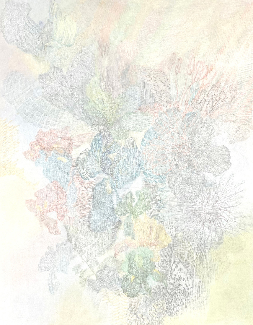 Yvonne van de Griendt, z.t. 2020, [Result, Tekening 2], grijze en kleurpotloden op papier,

65 x 50 cm.
PHŒBUS•Rotterdam