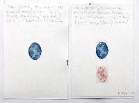 Stefan Gritsch, twee inkjetprints op papier; uit te snijden en te gebruiken om een medaillon te vullen, formaat 3,5 x 2,8 cm., 2022.

Het beeld is gebaseerd op geografische kaartjes uit kranten van steden in oorlog in Jemen. Papierformaat A5.
PHŒBUS•Rotterdam