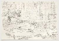 Toine Horvers, Puszca Bialowieska - C, 2000, grijze potloden op papier,

0.70 x 1 m.
PHŒBUS•Rotterdam