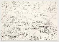 Toine Horvers, Puszca Bialowieska - D, 2000, grijze potloden op papier,

0.70 x 1 m.
PHŒBUS•Rotterdam
