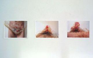 Toine Horvers, expositie ''Made in Rotterdam'', drie werken 'Intimate Self -portrait',

2005, kleurpotloden/foto, elk 0.50 x 0.65 m.
PHŒBUS•Rotterdam