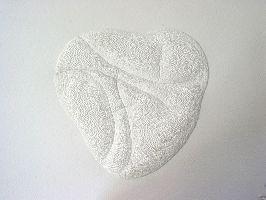 souterrain, Hanneke Fit, een klein geperforeerd werk op papier met de vorm van een hart en handlijnen
PHŒBUS•Rotterdam