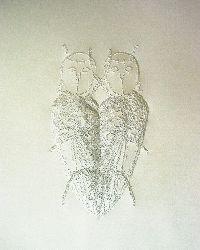 Amparo Sard, 2004 [twee bijen samenhangend], perforaties op papier,

25 x 20 cm.
PHŒBUS•Rotterdam