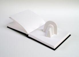 Frank Sciarone, '1,2,3', 2006, boekobject: dummy, gips, 8 x 29.5 x 14.5 cm.
PHŒBUS•Rotterdam