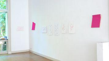 Bernard Villers, ''Je cherche un Rose'', expositie 2010
PHŒBUS•Rotterdam