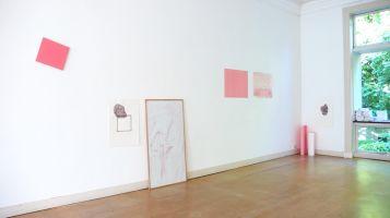 Bernard Villers, ''Je cherche un Rose'', expositie 2010, pigment op paneel,

pigmenten op papier
PHŒBUS•Rotterdam